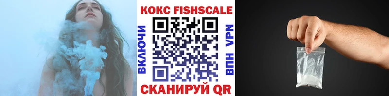 kraken ссылки  Безенчук  COCAIN Fish Scale  сколько стоит 